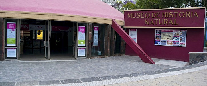 La ciudad con más museos: ruta de ciencia