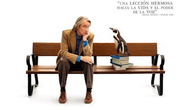 Sigue las huellas de esta entrañable amistad con el tráiler de “Lecciones de un pingüino”