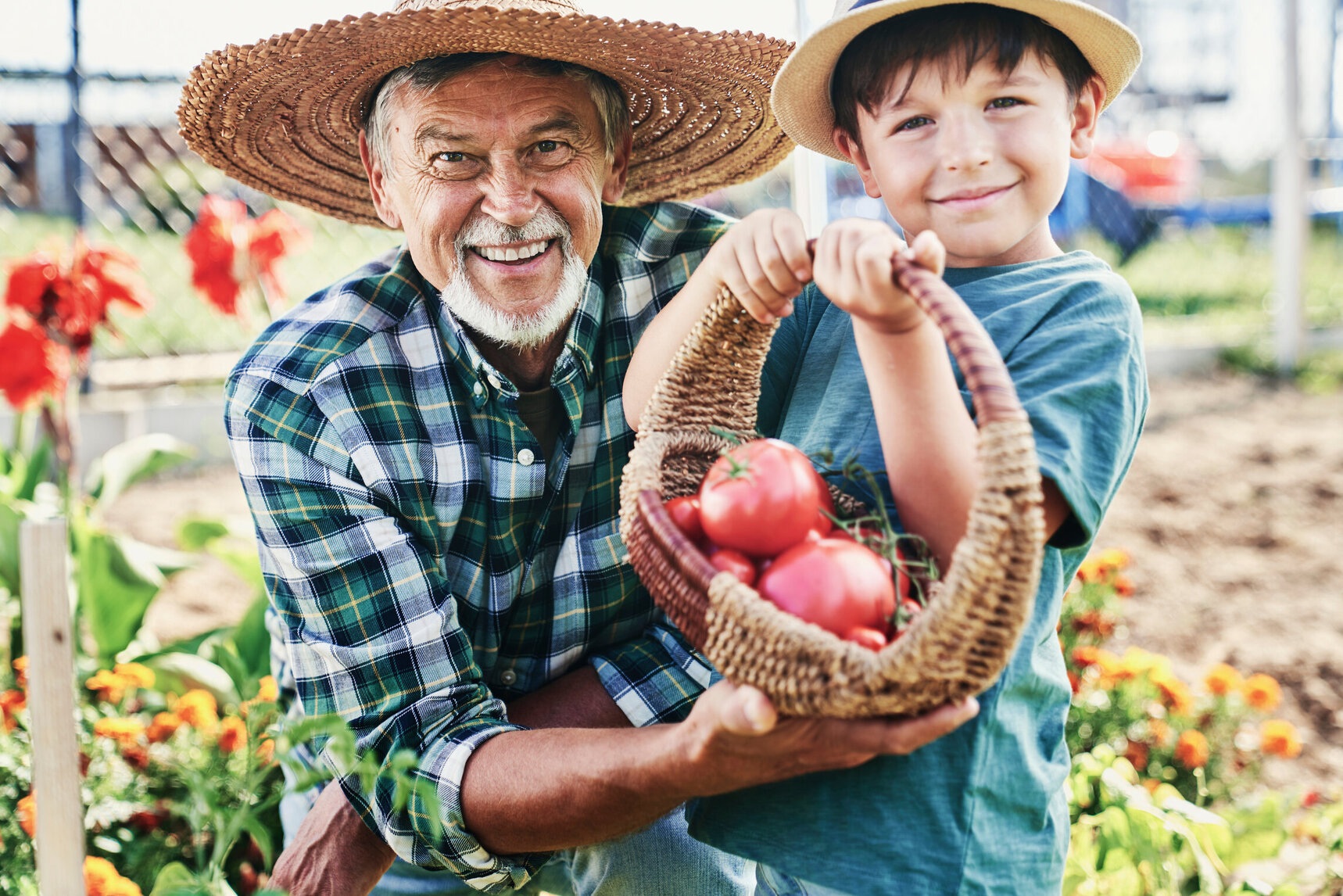 Sustentabilidad casera