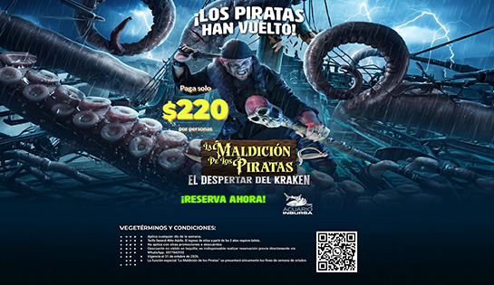 Acuario Inbursa - La Maldición de los Piratas, El Despertar del Kraken por $220 por persona!