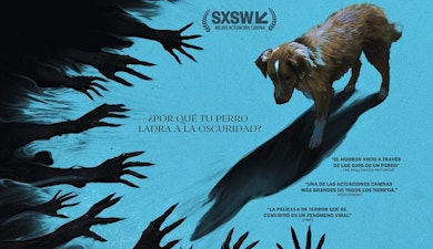 El fenómeno de terror “Good Boy: Confía en su Instinto” ya tiene fecha de estreno en México