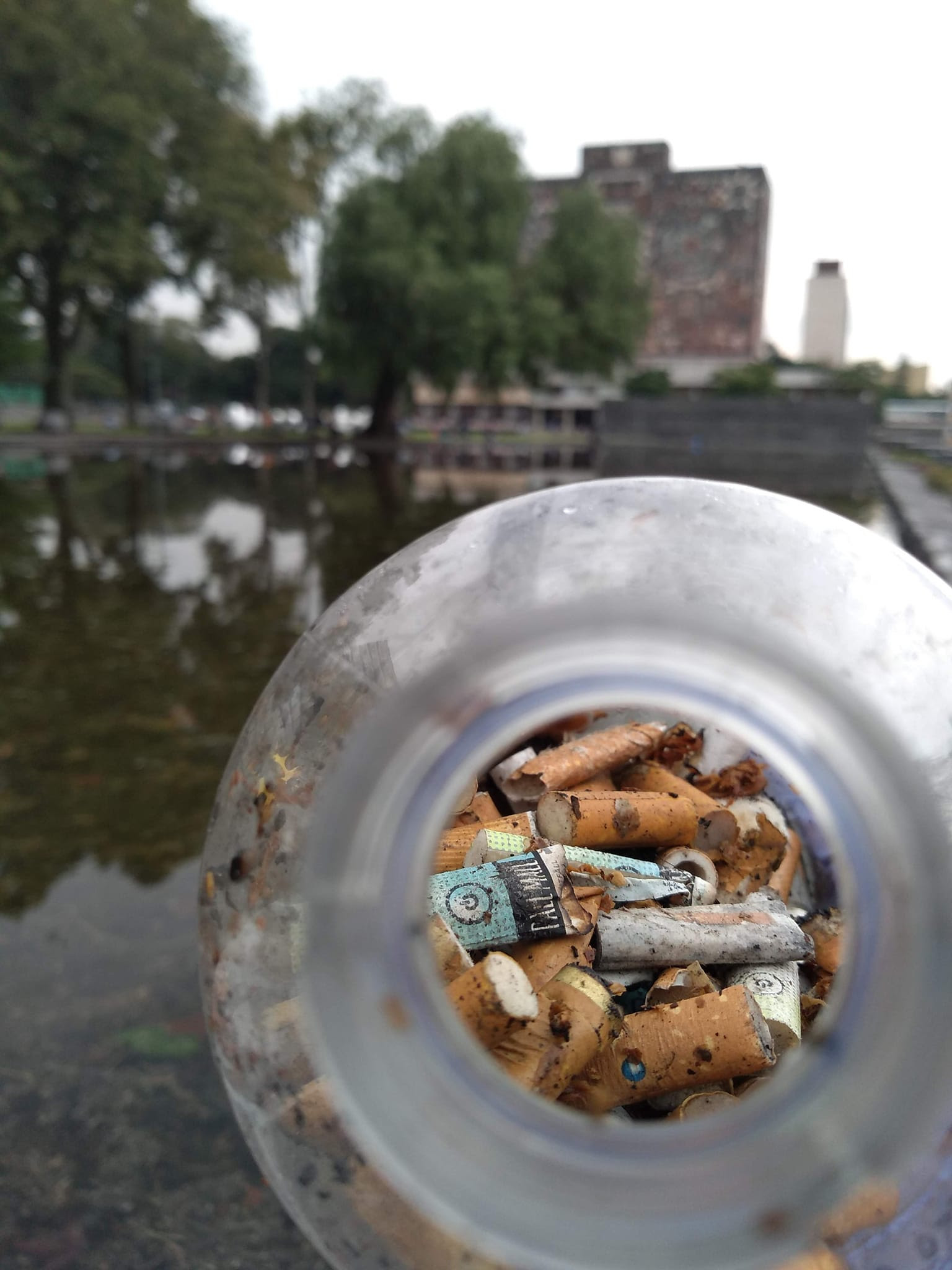 El Movimiento Para Bien o Para Mal recolectó 12 millones de colillas de cigarro para su reciclaje en el 2022