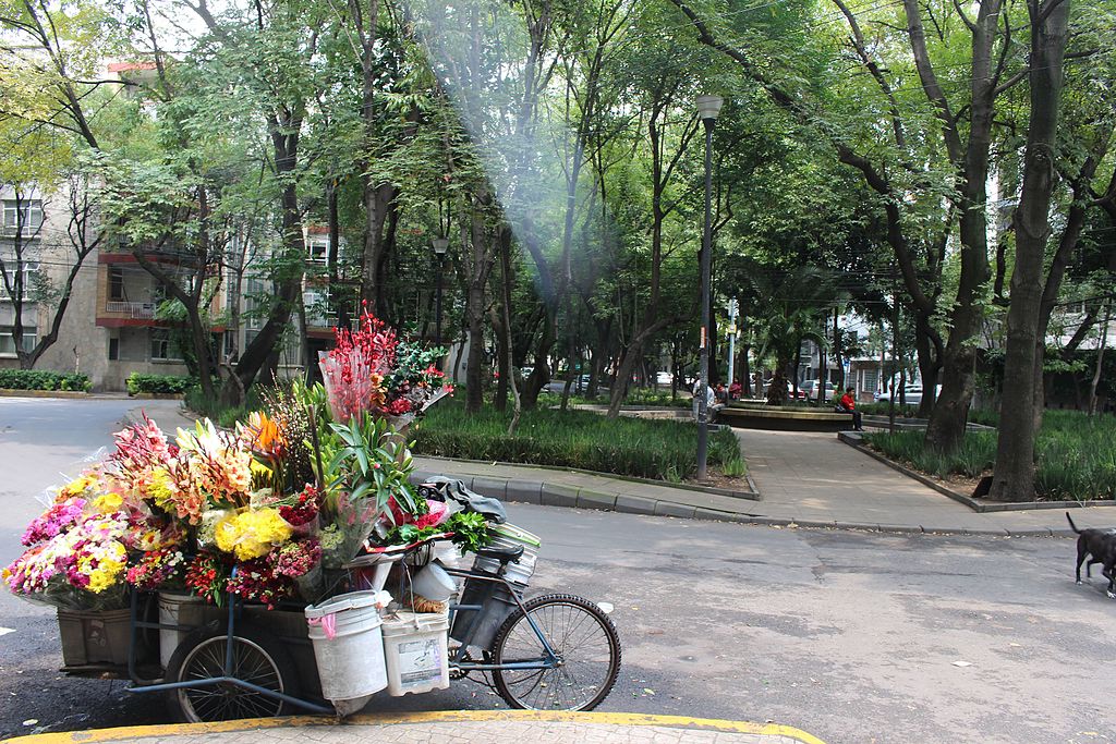 Semana del Arte: Condesa