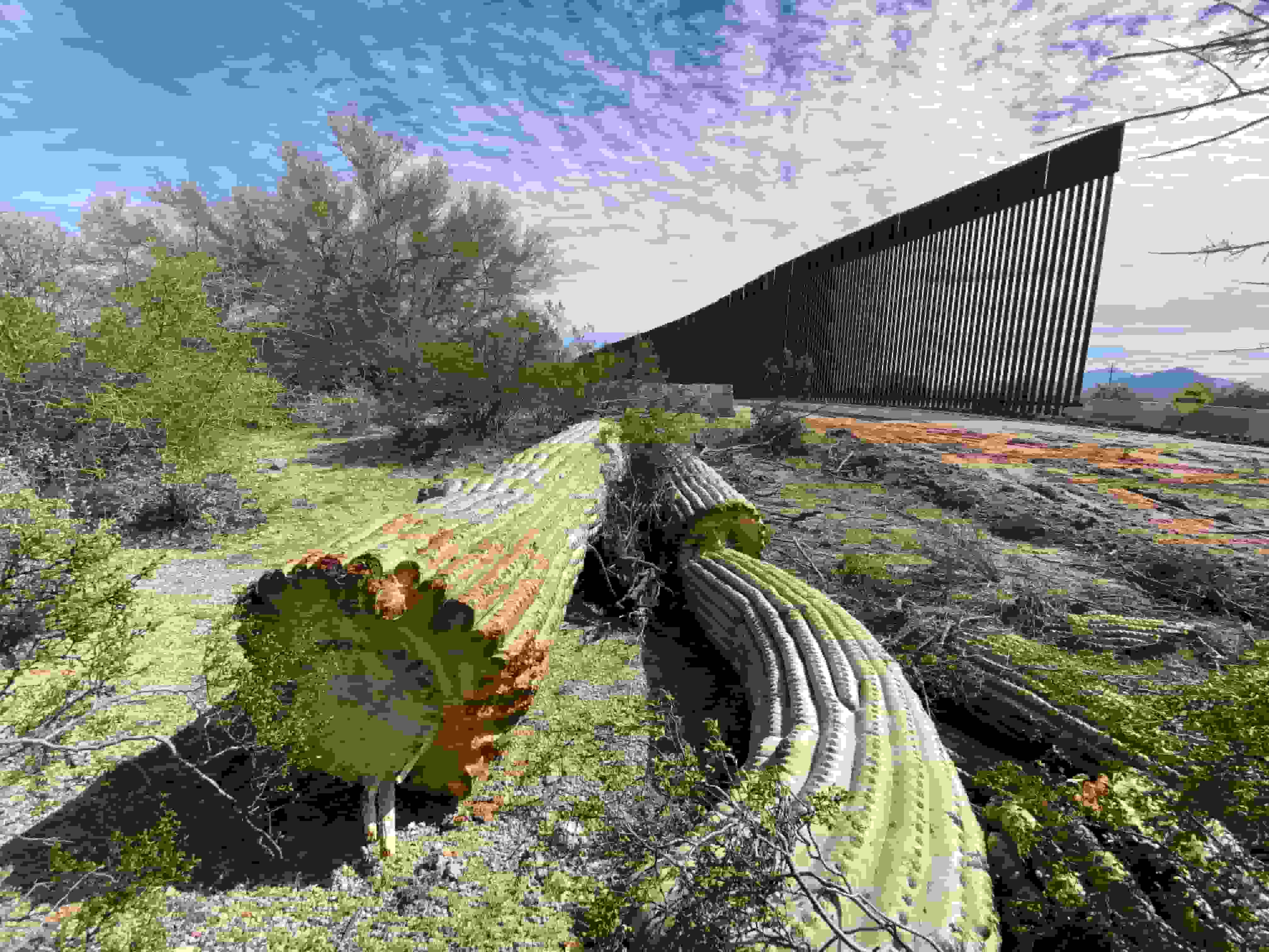 Inauguración de la exposición Mexicanos, palestinos y saharauis