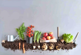 Jardinería en casa, cómo hacer tu propio huerto