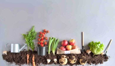 Jardinería en casa, cómo hacer tu propio huerto