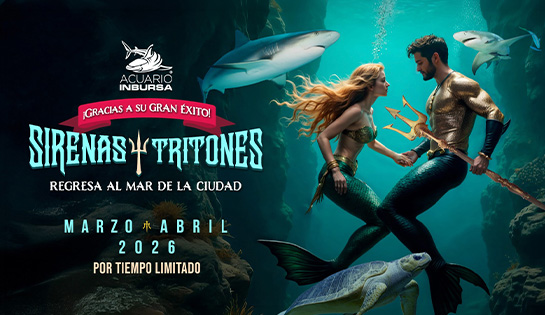 Acuario Inbursa - 15% de descuento en Pase Marino con la experiencia Sirenas y Tritones.