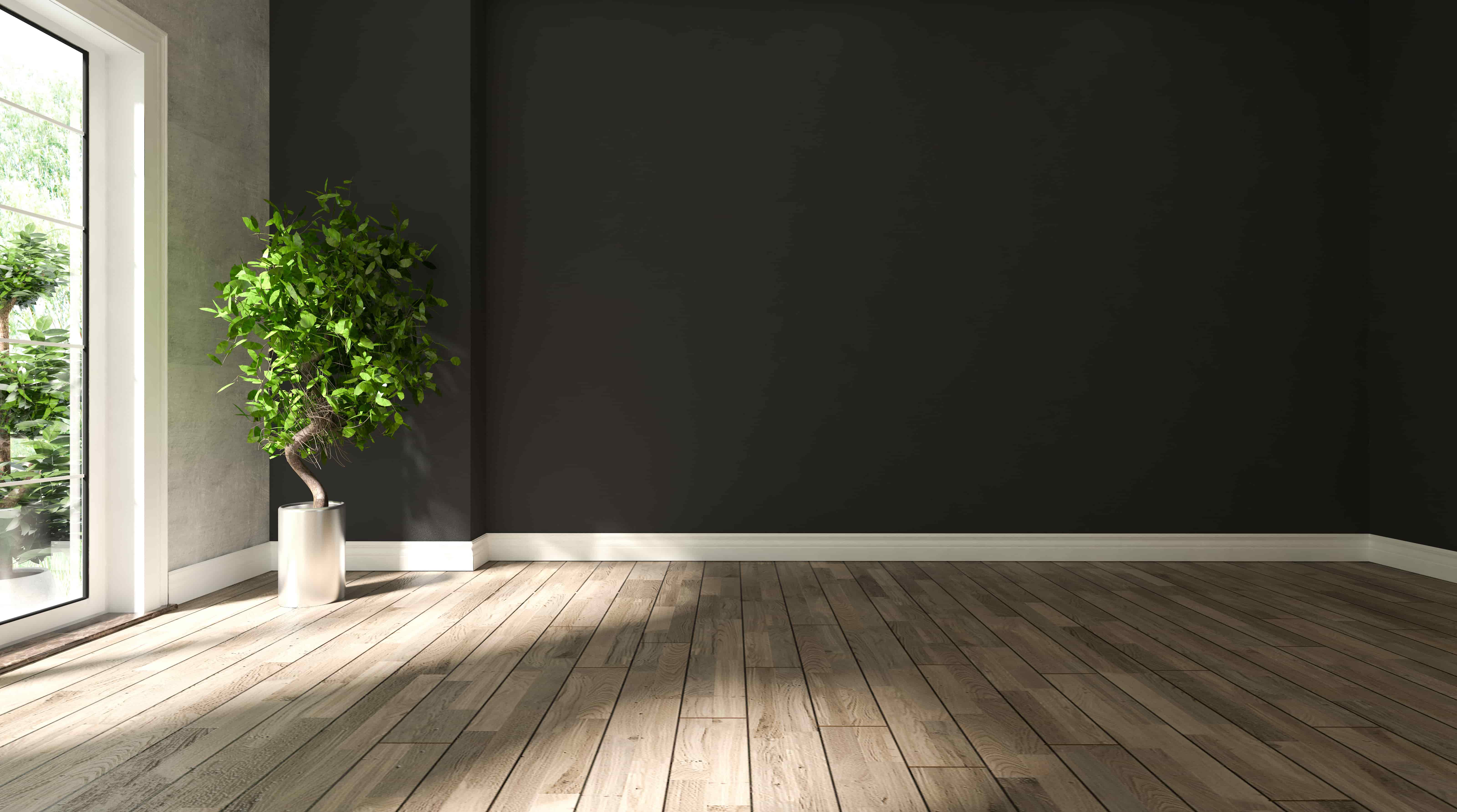 Los mejores colores para pintar tu casa