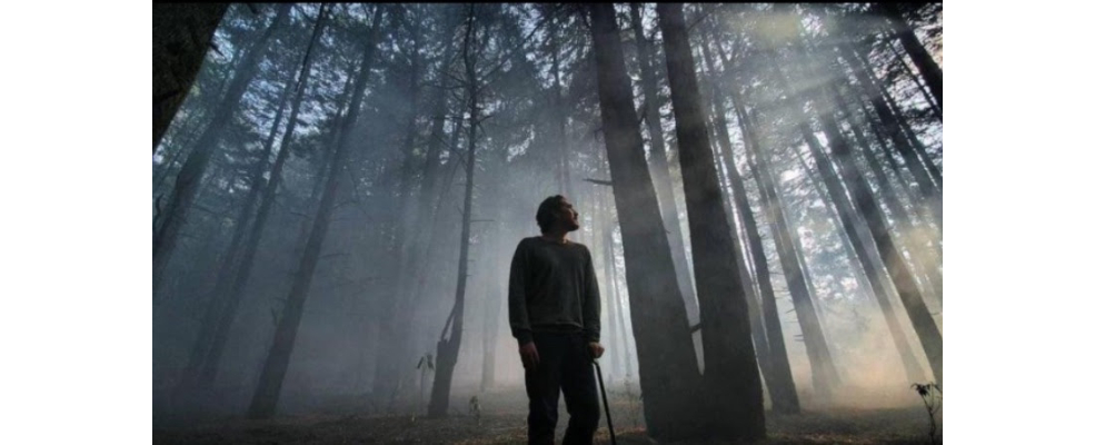 Mantícora estrena "Desaparecer por completo" del director Luis Javier Henaine