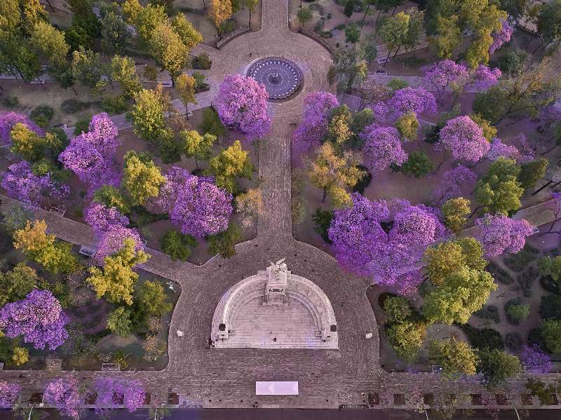 FYJA presenta Inmersiones FYJA 2026. Miradas del jardín mexicano: casa, ciudad y territorio