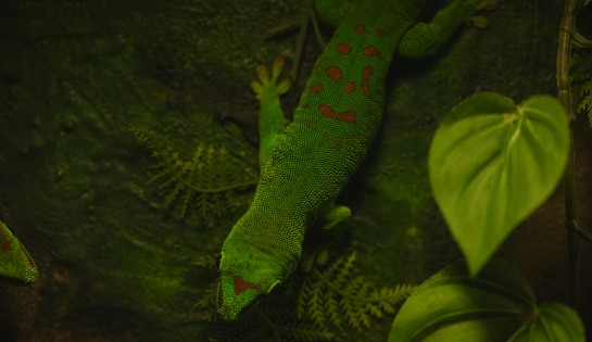 Acuario Inbursa < 10% de descuento en la contratación de tus Eventos Corporativos o Sociales