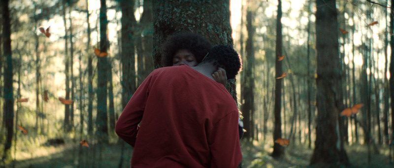 “El jardín que soñamos”, de Joaquín del Paso, tendrá su estreno mundial en la 76 Berlinale