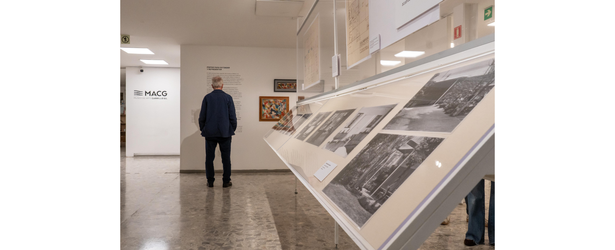 El Museo de Arte Carrillo Gil inaugura dos exposiciones sobre memoria y naturaleza