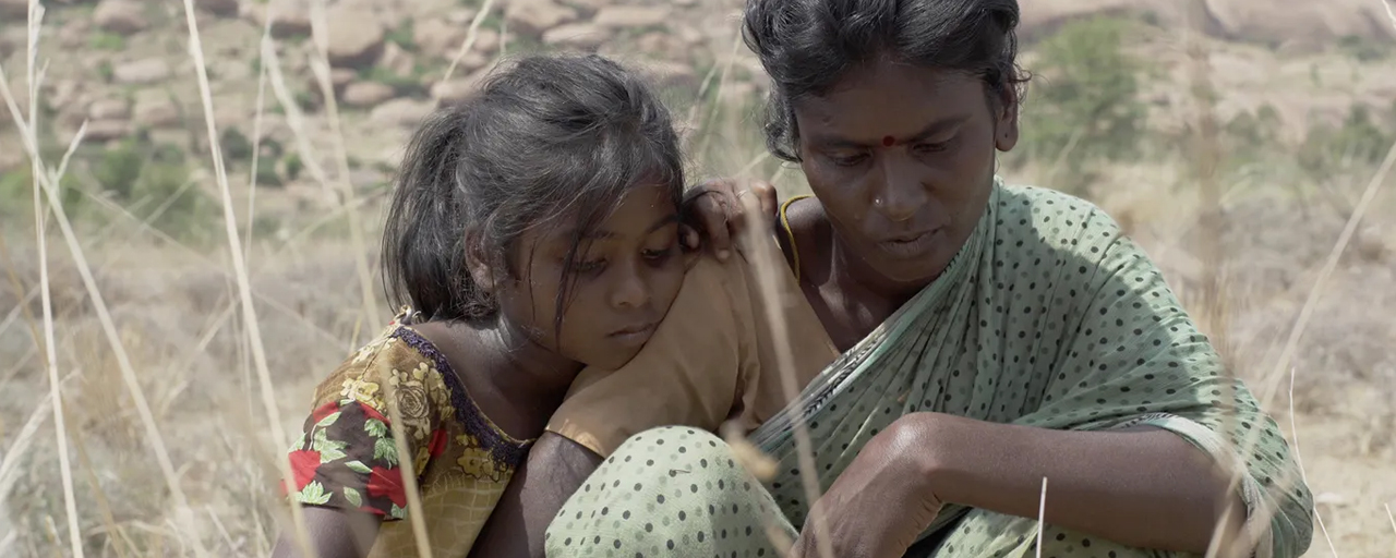 El FICUNAM anuncia la selección para la Competencia Internacional de su décima primera edición