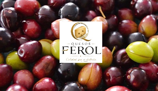 QUESOS FEROL - 20% de descuento en el Kilo de las mejores Aceitunas Gourmet.