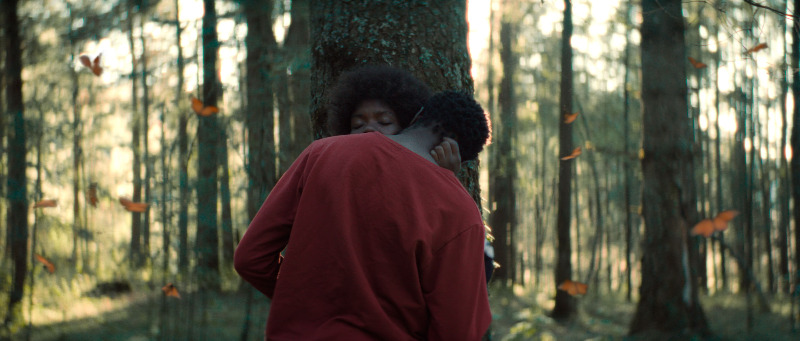 El cine mexicano llega al 76º Festival Internacional de Cine de Berlín con nueve producciones