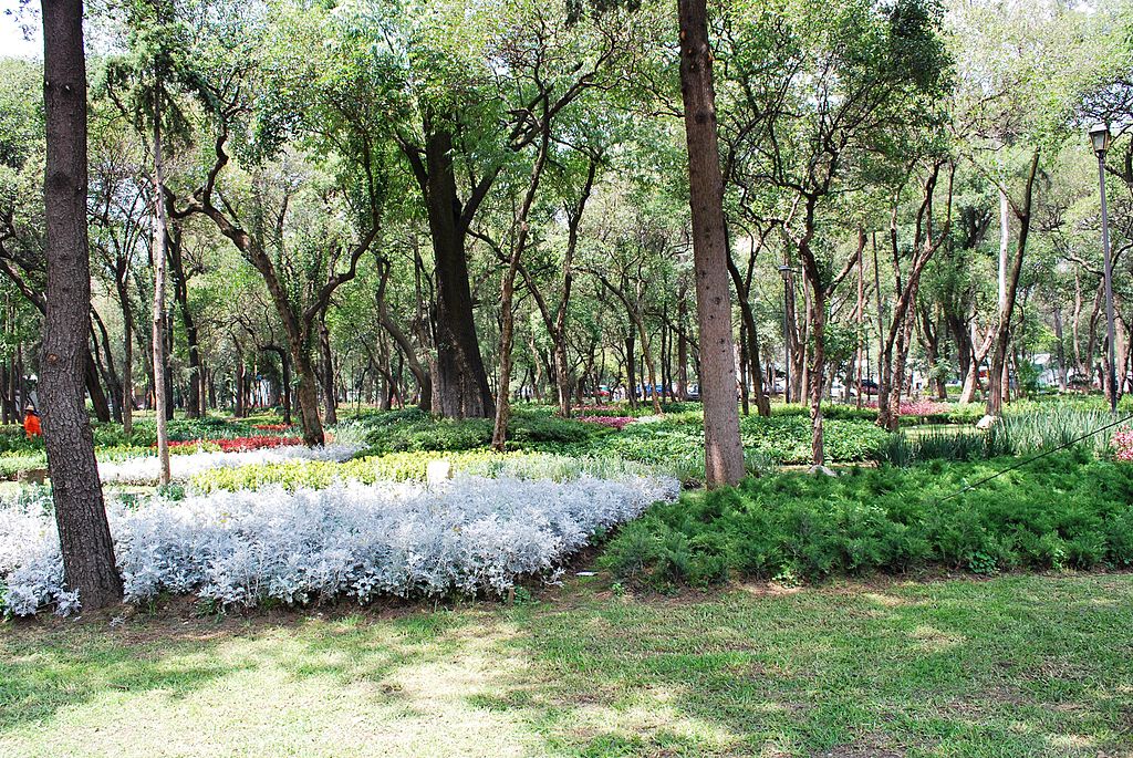 Primavera en la colonia Florida