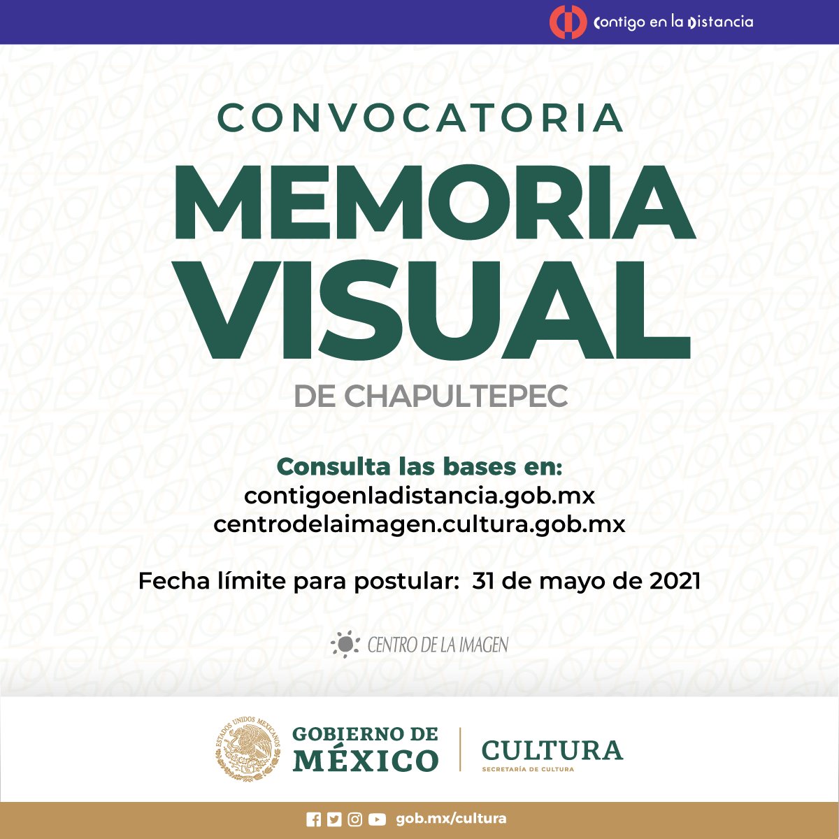Construyan una memoria visual colectiva del Bosque Chapultepec