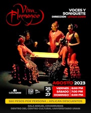 Un estallido de colorido y calidez ofrecerá la compañía ¡Viva Flamenco! con el programa “Voces y Soniquete”