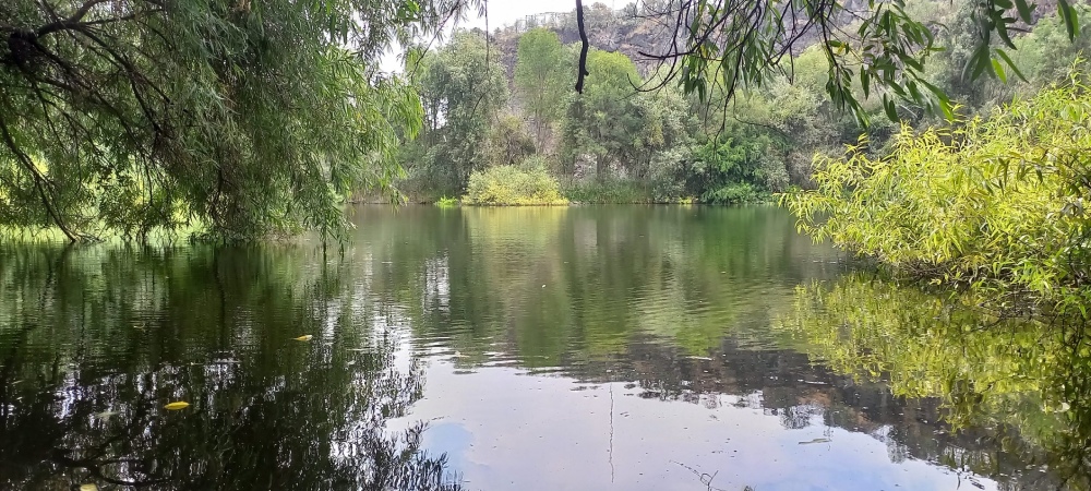 Se inaugura la exposición "Espacios de resistencia" el 4 de marzo en el Centro Cultural de España en México
