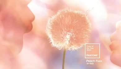 Color Pantone 2024: Peach Fuzz