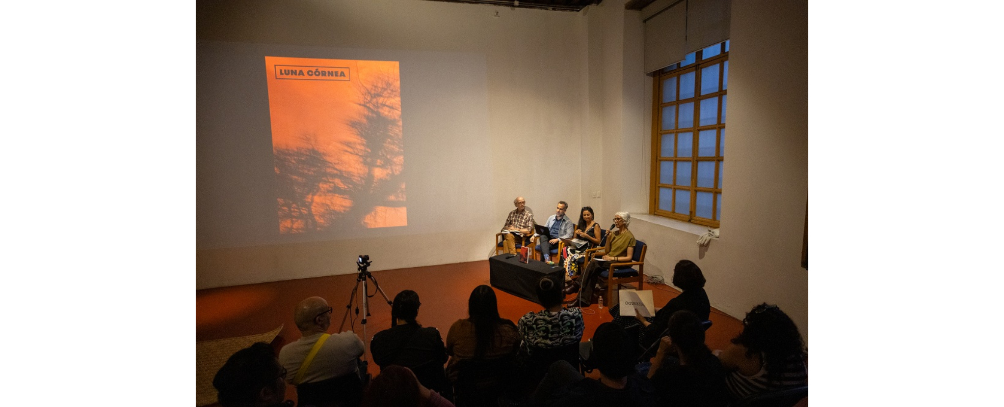 La edición 40 de Luna Córnea reflexiona sobre crisis ecológica y cambio climático