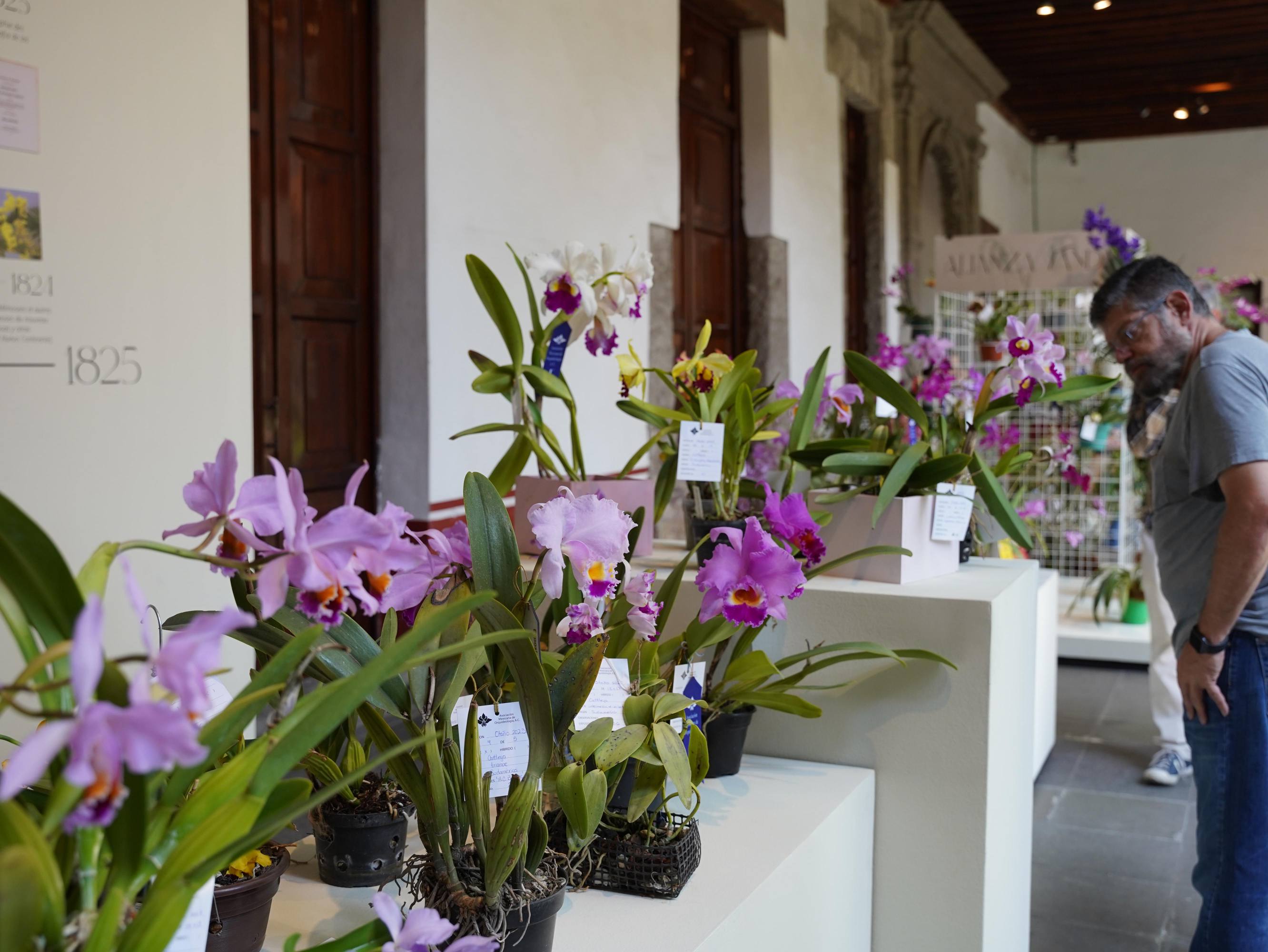 El Museo Franz Mayer en 2024