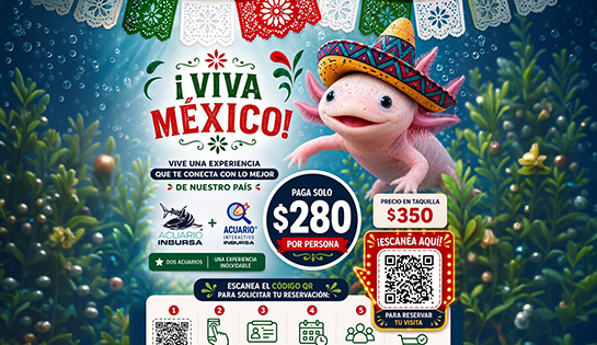 Acuario Inbursa - ¡Viva México! y Dos Acuarios solo por $280 por persona!