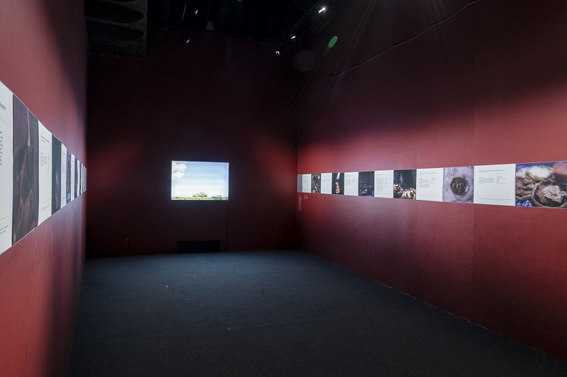 El Centro de la Imagen extiende el periodo de sus exposiciones