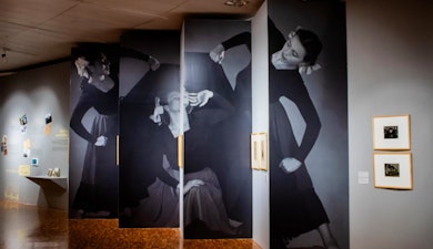 El Museo de Arte Moderno presenta la exposición “Estéticas Revueltas. Una familia de vanguardia”