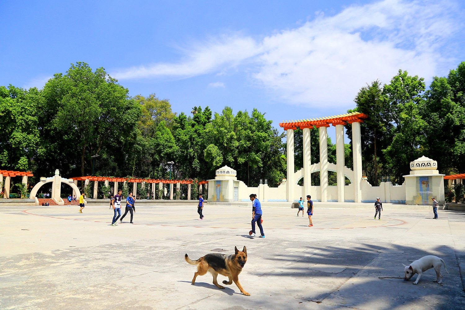 El bello Parque México