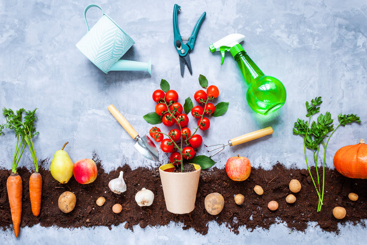 ¿Qué cultivar, sembrar y por qué?