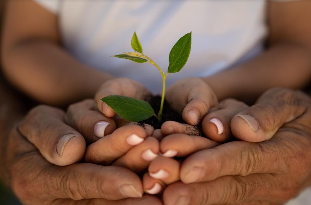 Maternidades y paternidades sustentables