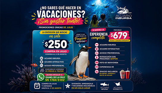 Acuario Inbursa - Boleto para el acuario desde $250 mxn o Experiencia completa por $679.00 mxn.