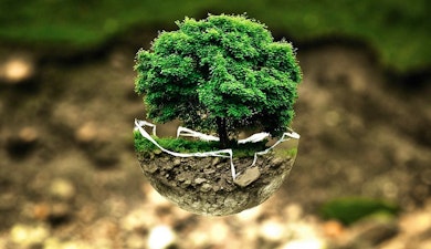 Día Mundial del Medio Ambiente: historias para generar conciencia 