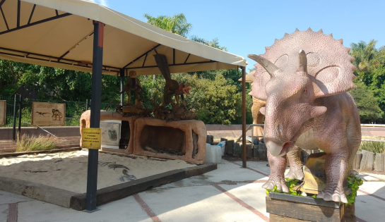 ZOOAVENTURAS San Juan de Aragón - 20% de descuento en tus boletos de entrada sobre precio público.