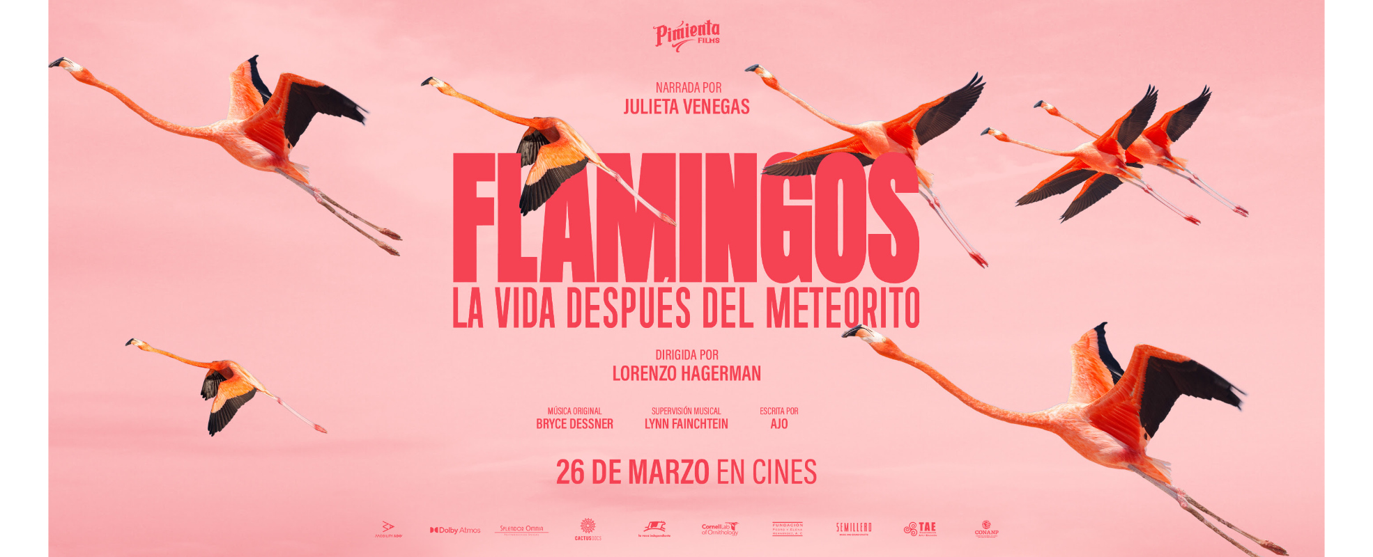 "Flamingos" vuela alto y logra el mejor debut para un documental mexicano tras la pandemia