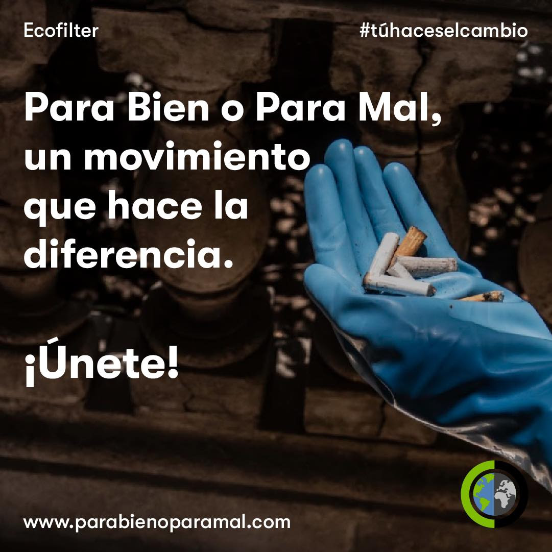 Celebra el día mundial del medio ambiente