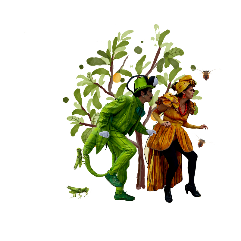 La Fonoteca Nacional y Ópera Portátil celebran a niñas y niños con la presentación del libro infantil "De grillos y chicharras"