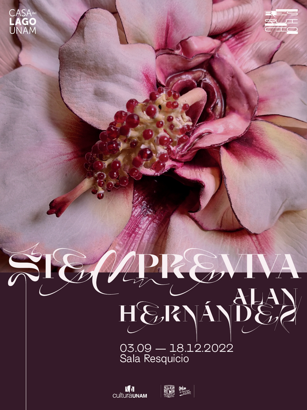 Resquicio: la nueva sala dedicada al arte joven latinoamericano en Casa del Lago UNAM