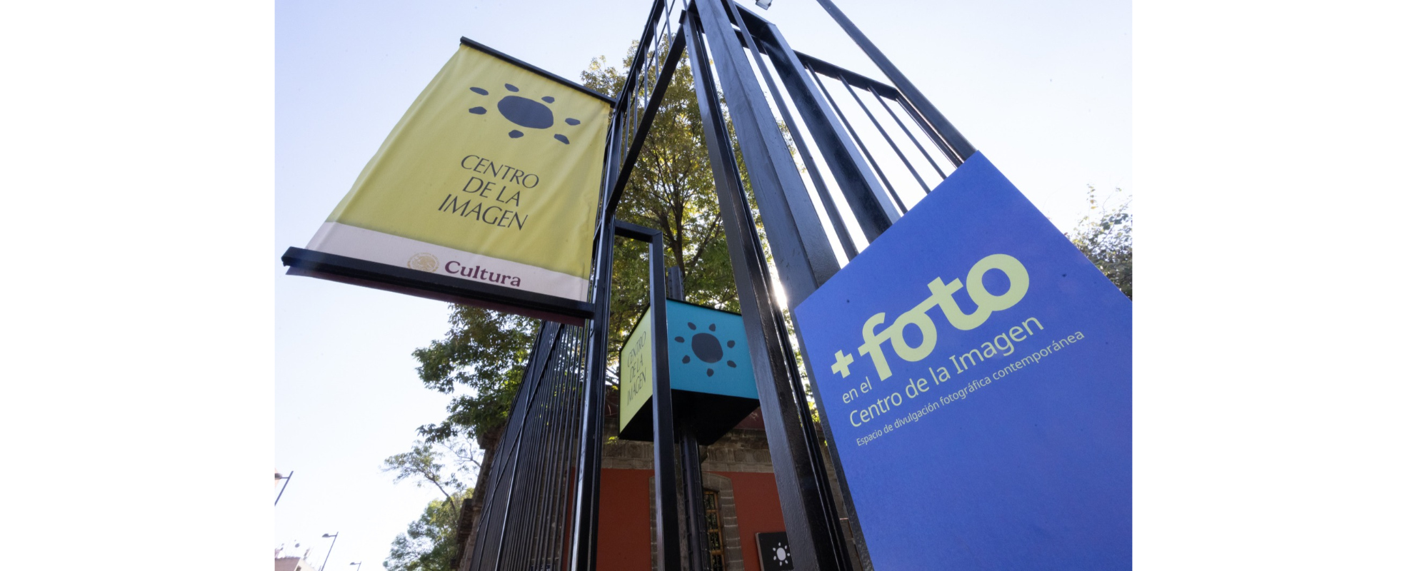 El Centro de la Imagen presenta “Álbum encontrado”, de Susana Santoyo