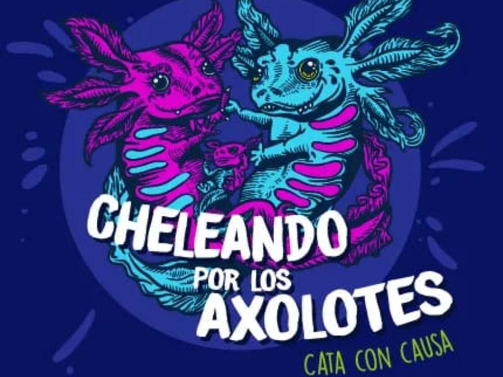 Todo sea por los axolotes: Cata de cerveza con causa