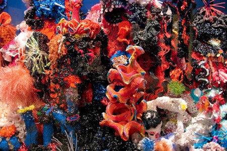 Uno de los proyectos artísticos más grandes del mundo, el “Crochet Coral Reef”, llega a México