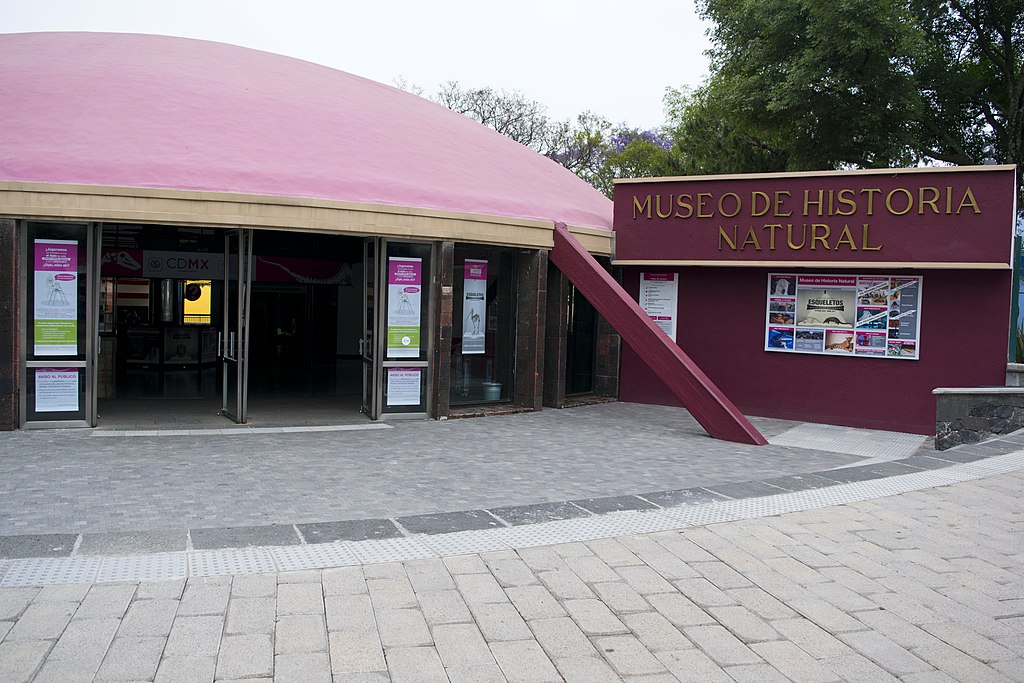 La ciudad con más museos: ruta de ciencia