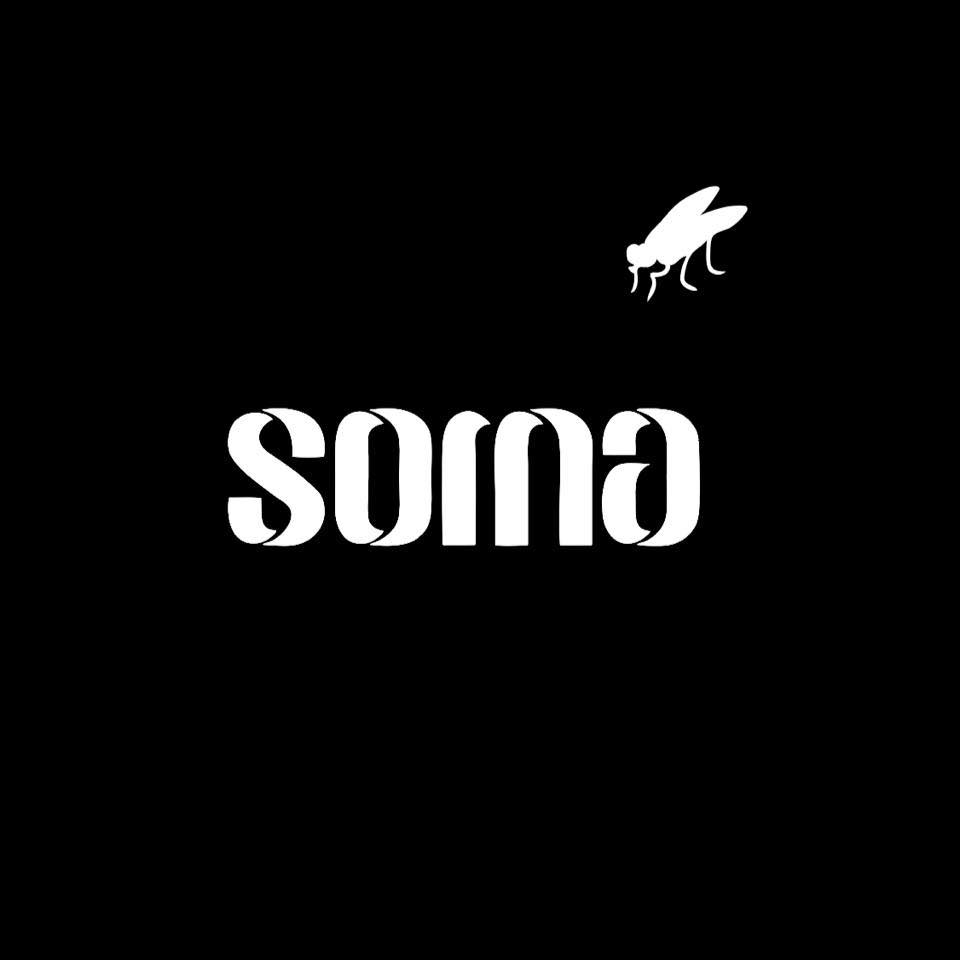Soma: “Teoría de la generación espontánea”