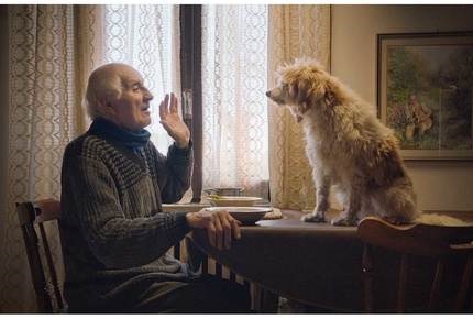 Películas a seguir dentro del FICM