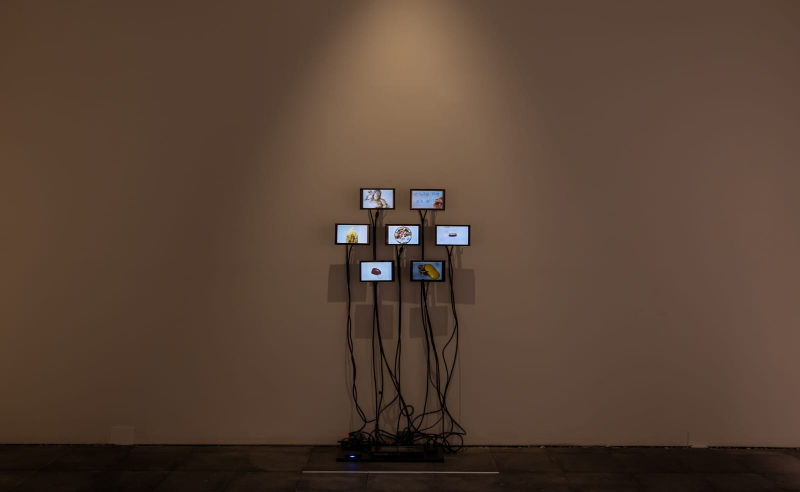 Jorge Bordello explora cuerpo y adherencia en su obra premiada en la XXI Bienal de Fotografía