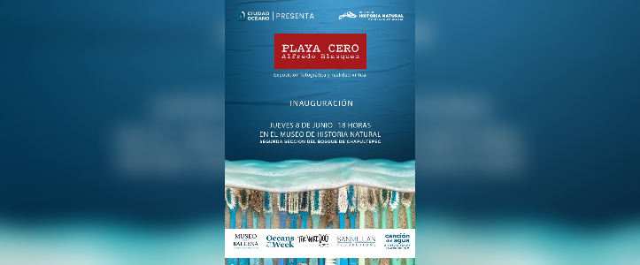 La exposición "Playa Cero" busca concientizar sobre el impacto humano en playas mexicanas