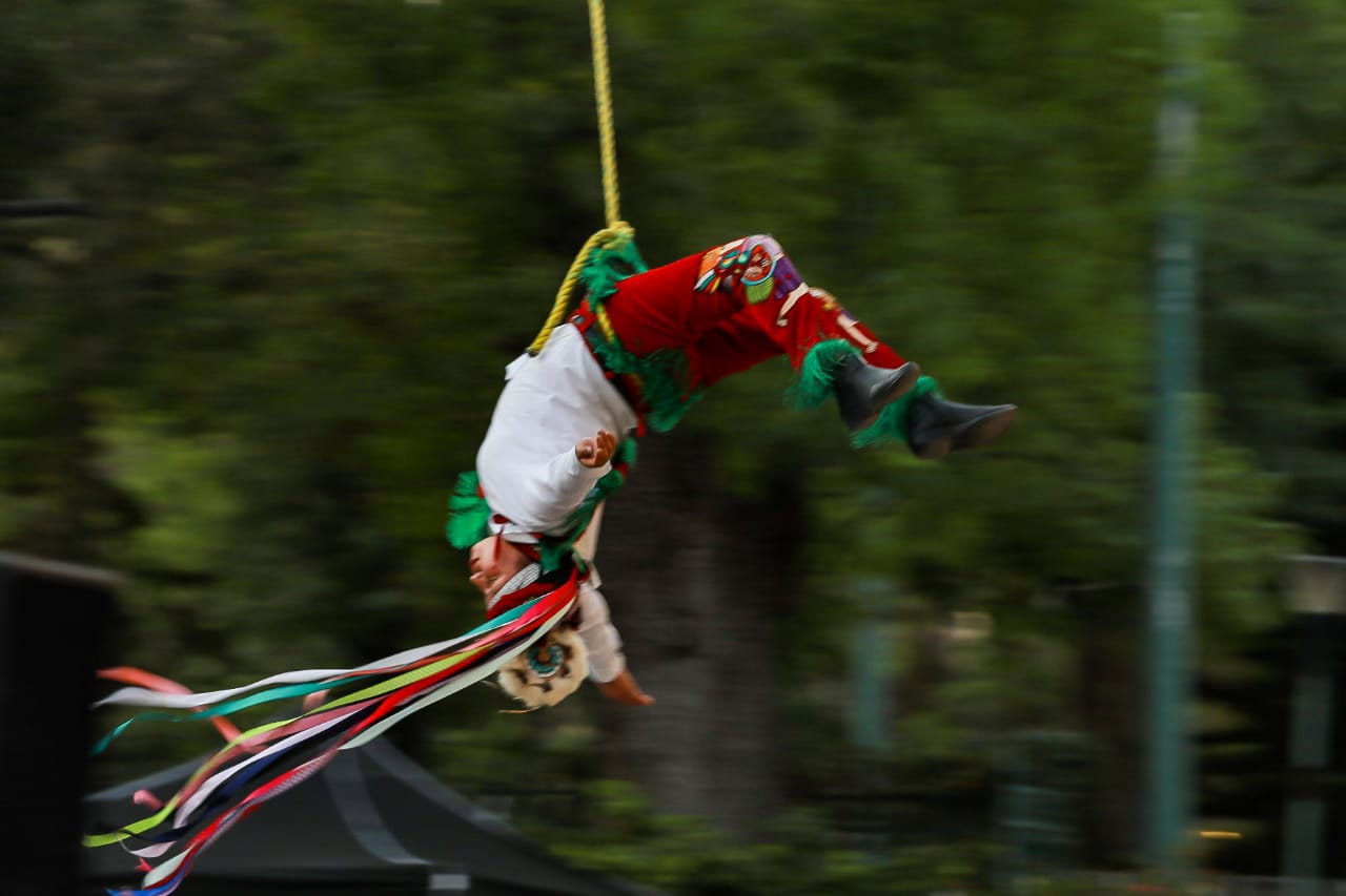 Con vuelo, música y teatro, inició el Festival de la Primavera del Bosque de Chapultepec  Externo Recibidos