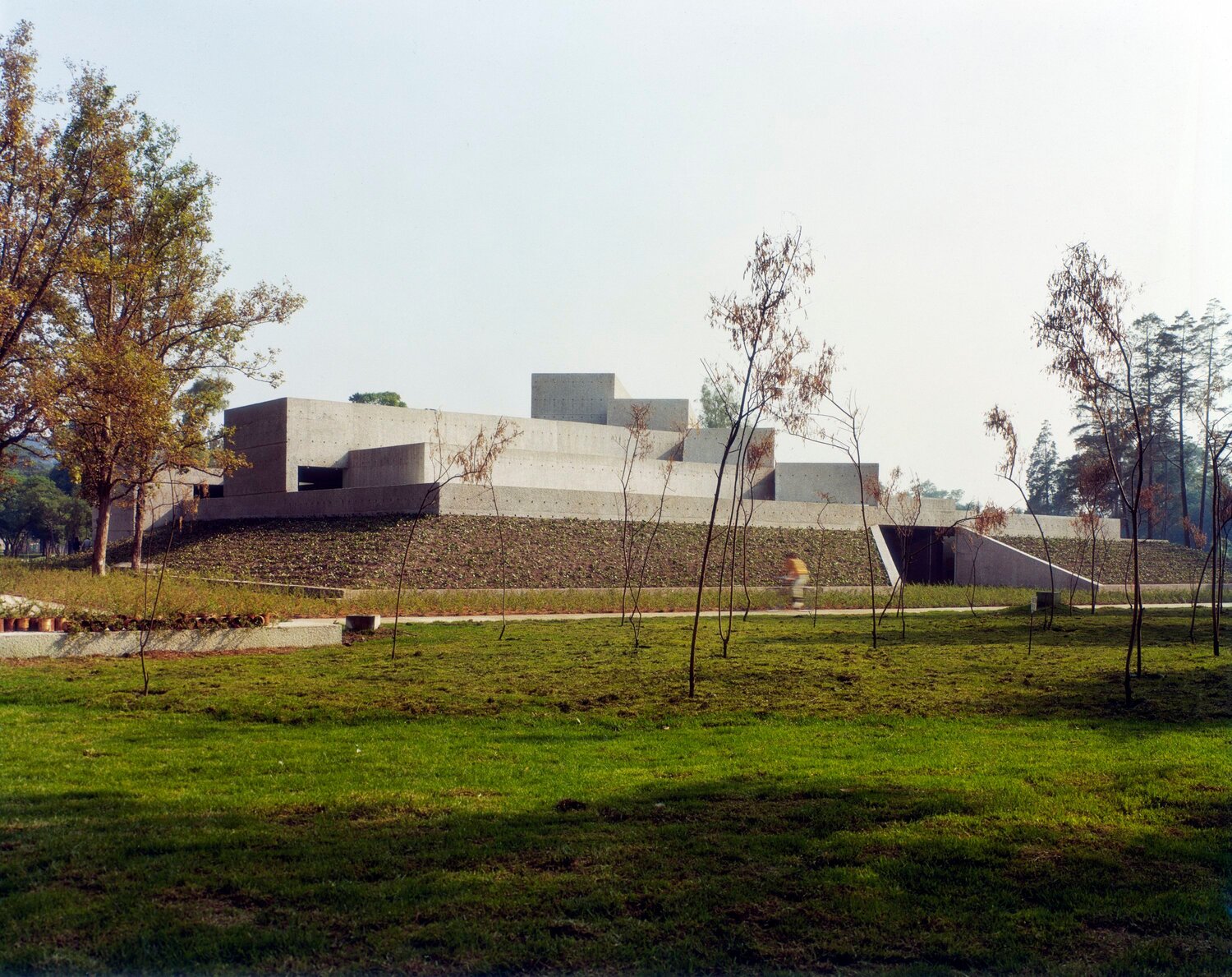 Museo Tamayo - Reapertura: "Más allá de los árboles"
